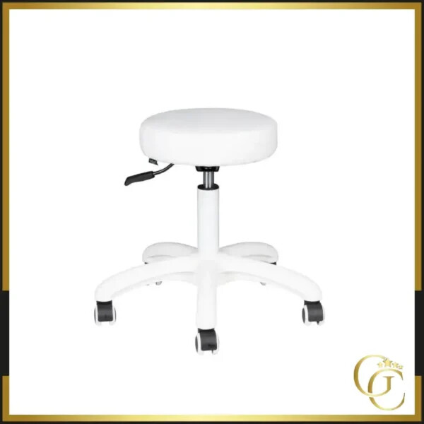 Stool AM-303-2 White - Professional swivel stool - Professional work stool - pedicure stool - professional beauty furniture