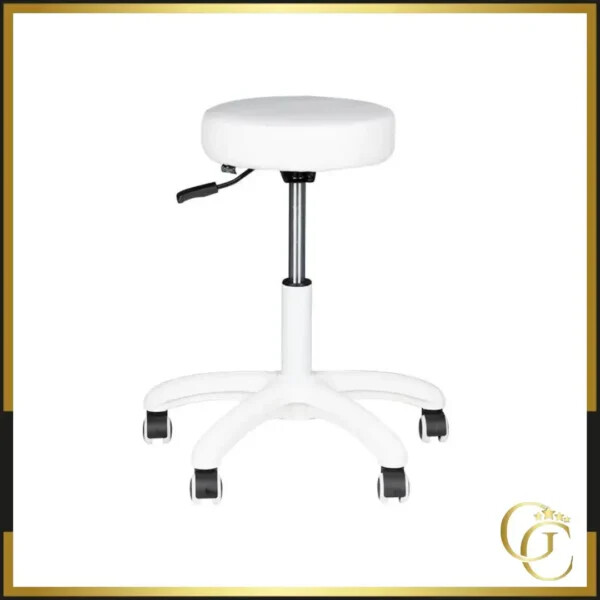 Stool AM-303-2 White - Professional swivel stool - Professional work stool - pedicure stool - professional beauty furniture
