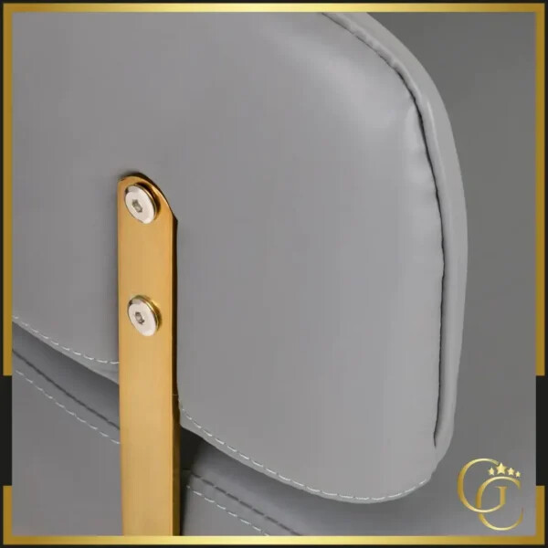 Fauteuil de Coiffure Linz NQ Gold Grey - Fauteuil de Coiffure Linz NQ Gold Grey - Chaise de coiffure professionnel - fauteuil de coiffure professionnel - mobilier de coiffure haut de gamme